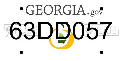 63DD057 Georgia License Plate