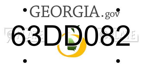 63DD082 Georgia License Plate