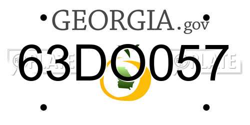 63DO057 Georgia License Plate