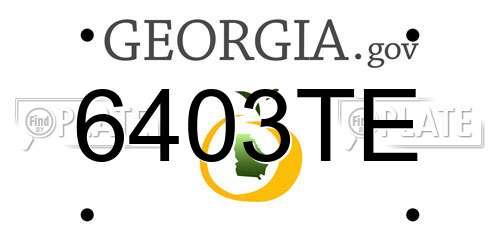 6403TE Georgia License Plate