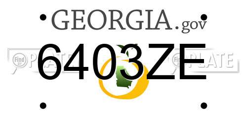 6403ZE Georgia License Plate
