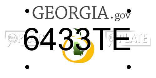 6433TE Georgia License Plate