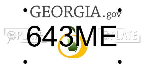 643ME Georgia License Plate