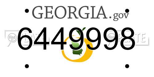 6449998 Georgia License Plate