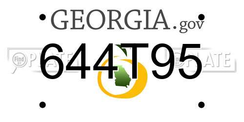 644T95 Georgia License Plate