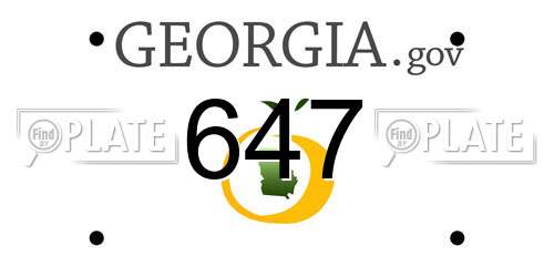 647 Georgia License Plate