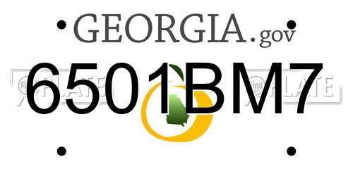 6501BM7 Georgia License Plate