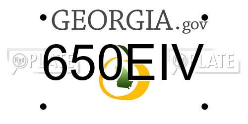 650EIV Georgia License Plate