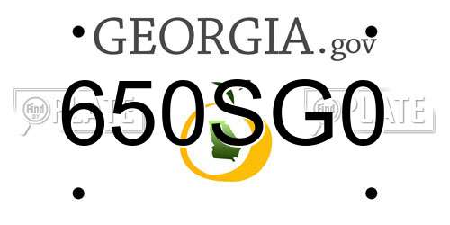 650SG0 Georgia License Plate