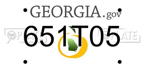 651T05 Georgia License Plate