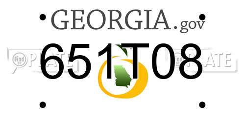 651T08 Georgia License Plate