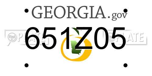 651Z05 Georgia License Plate