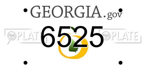 6525 Georgia License Plate