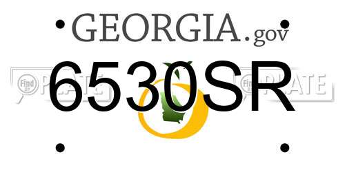 6530SR Georgia License Plate
