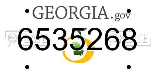 6535268 Georgia License Plate