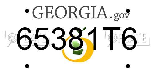 65381T6 Georgia License Plate