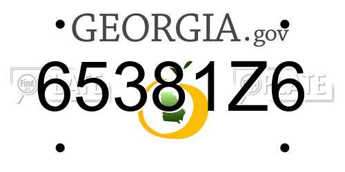 65381Z6 Georgia License Plate