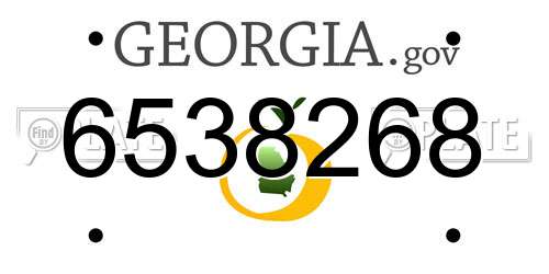 6538268 Georgia License Plate