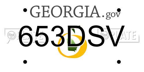 653DSV Georgia License Plate
