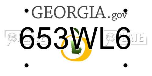 653WL6 Georgia License Plate