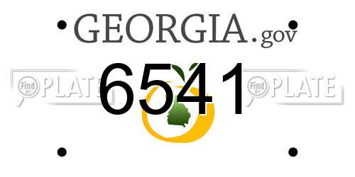 6541 Georgia License Plate