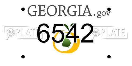 6542 Georgia License Plate