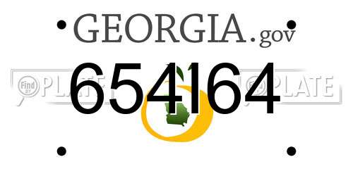 654I64 Georgia License Plate