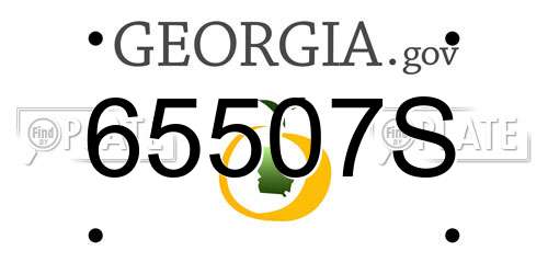 65507S Georgia License Plate
