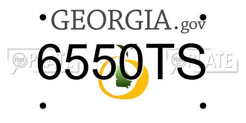 6550TS Georgia License Plate