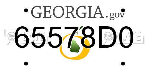 65578D0 Georgia License Plate
