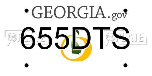 655DTS Georgia License Plate