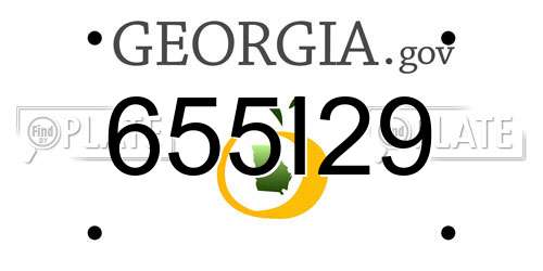 655I29 Georgia License Plate