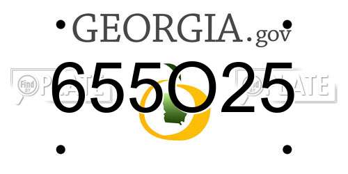 655O25 Georgia License Plate
