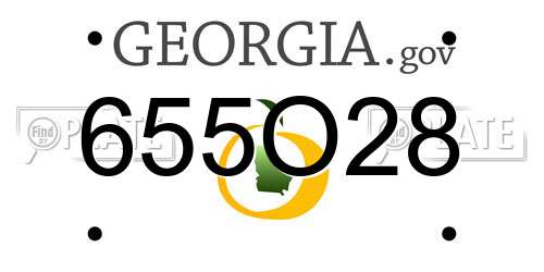 655O28 Georgia License Plate