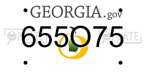 655O75 Georgia License Plate