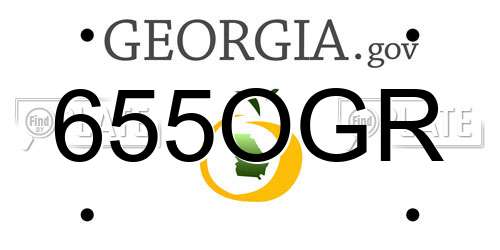 655OGR Georgia License Plate