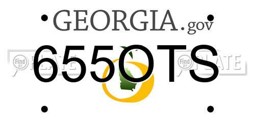 655OTS Georgia License Plate