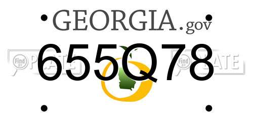 655Q78 Georgia License Plate