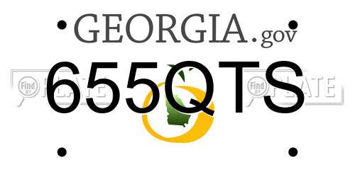 655QTS Georgia License Plate