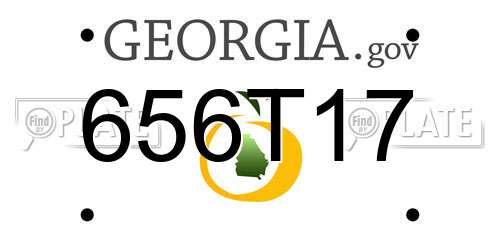 656T17 Georgia License Plate