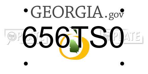 656TS0 Georgia License Plate