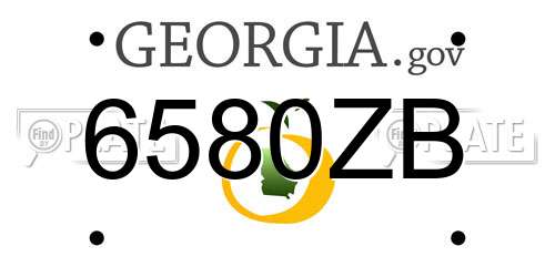 6580ZB Georgia License Plate