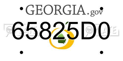65825D0 Georgia License Plate