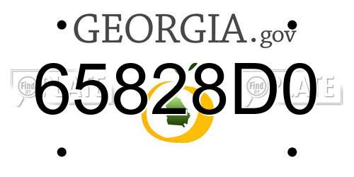 65828D0 Georgia License Plate