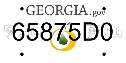 65875D0 Georgia License Plate