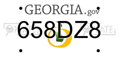 658DZ8 Georgia License Plate
