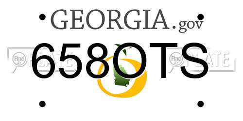 658OTS Georgia License Plate