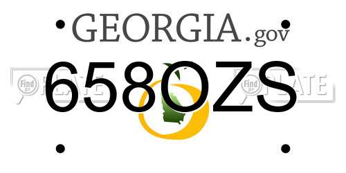 658OZS Georgia License Plate