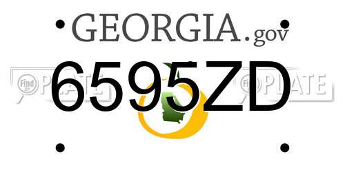 6595ZD Georgia License Plate