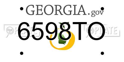 6598TO Georgia License Plate